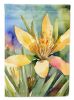 New Mexico Yucca Flower in Watercolor Garden Flag Mailbox Flag Decorative Yard Flag Banner Outside Patio Artwork Yard Flower Beds, Garden Size