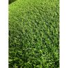 6ft x 10ftIdeal for Backyard, Garden, Lawn Landscape, Patio