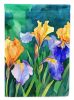 Tennessee Iris in Watercolor Garden Flag Mailbox Flag Decorative Yard Flag Banner Outside Patio Artwork Yard Flower Beds, Garden Size, Multicolor